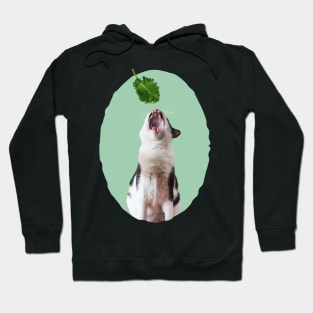 My Fav Food Is Kale Hoodie